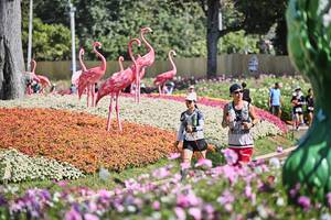 BIB: 
                            <button type="button" onclick="openModal(27793701)" class="btn btn-primary btn-sm float-right btn-popup" data-toggle="modal" data-target=".modal-high-quality">
                        <i class="fas fa-shopping-cart"></i> Add to Cart
                    </button>
                                            <button type="button" onclick="isThisMe(27793701, true)" class="btn btn-success btn-sm float-right btn-popup btn-isme hidden" data-toggle="tooltip" data-placement="bottom" title="นี่คือรูปของคุณใช่ไหม คลิกที่นี่เพื่อเอาเข้าอัลบั้ม">
                        <i class="fas fa-plus"></i> Add to album
                    </button>
                    <button type="button" onclick="isThisMe(27793701, false)" class="btn btn-warning btn-sm float-right btn-popup btn-isnotme hidden">
                        <i class="fas fa-ban"></i> Remove from album
                    </button>